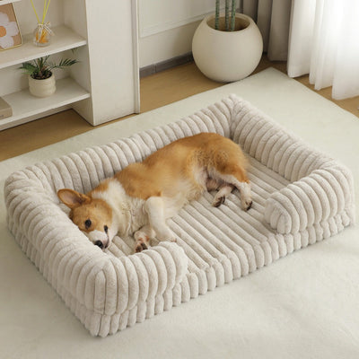 Sommeil pour Chien