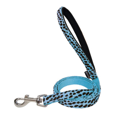 Sorties pour Chien
