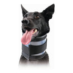 Collerette Cervicale KVP Noire (6-28 cm)
