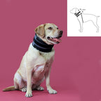 Collerette Cervicale KVP Noire (6-28 cm)