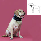 Collerette Cervicale KVP Noire (6-28 cm)