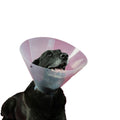 Collerette de Protection KVP pour Chien