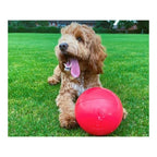 Jouet Boomer Bleu pour Chien (100 mm)