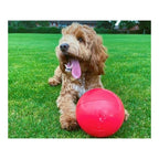 Jouet Boomer Bleu pour Chien (100 mm)