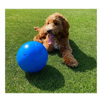 Jouet Boomer Bleu pour Chien (100 mm)