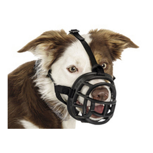 Muselière de Sécurité pour Chien