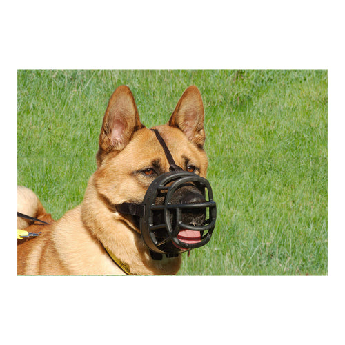 Muselière de Sécurité pour Chien
