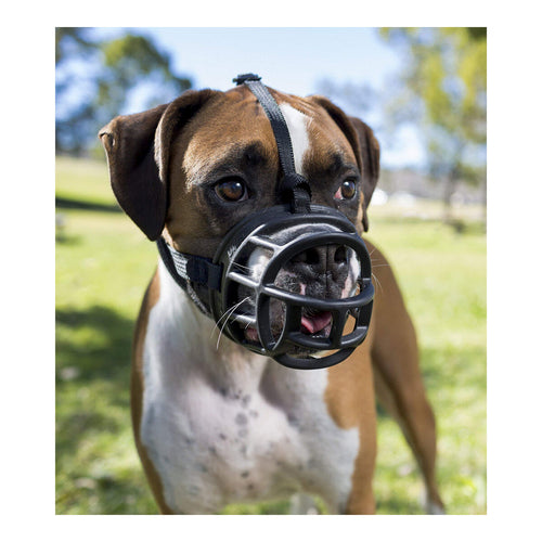 Muselière de Sécurité pour Chien