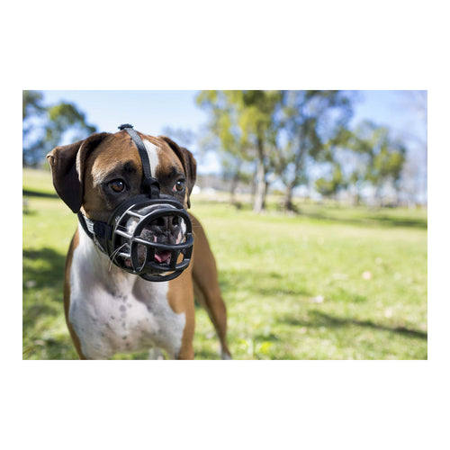 Muselière de Sécurité pour Chien