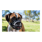 Muselière de Sécurité pour Chien