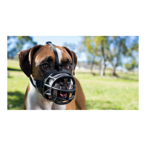 Muselière de Sécurité pour Chien