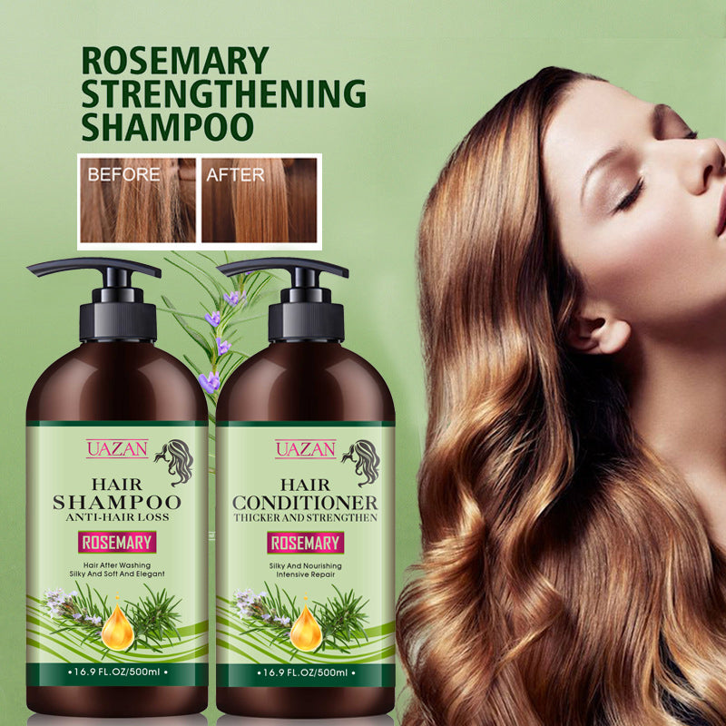 Shampoing pour Chat