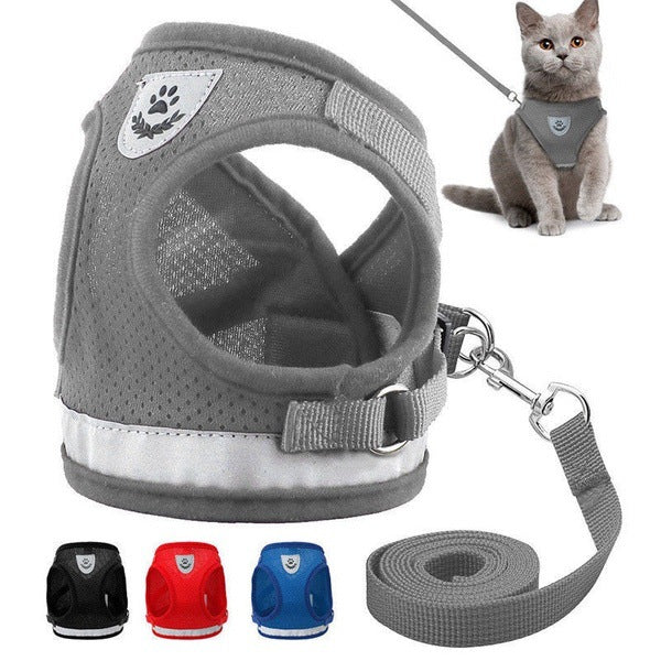 Harnais pour Chat