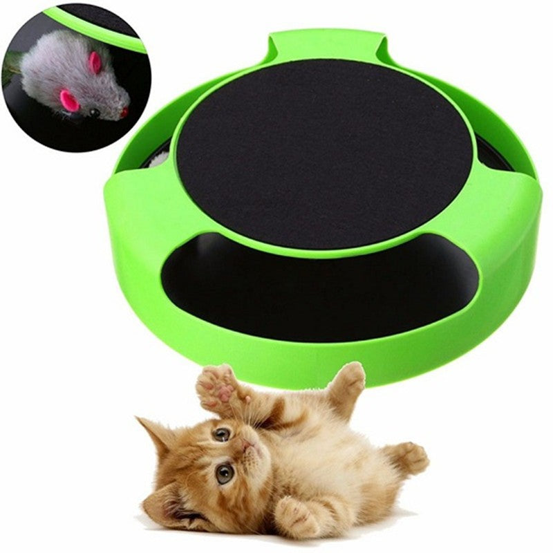 Jouets Interactifs pour Chat