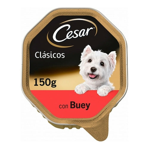 Pâtée Cesar Goût Boeuf pour Chien (150 g)