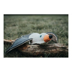 Jouet Mouette Hunter Blanche pour Chien