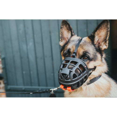 Muselère Hunter Albury Noire Taille 6 pour Chien