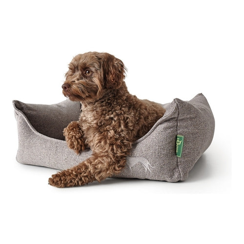 Canapé Hunter Prag Gris pour Chien (70 x 50 cm)