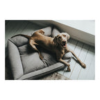 Canapé Hunter Prag Gris pour Chien (70 x 50 cm)