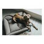 Canapé Hunter Prag Gris pour Chien (70 x 50 cm)