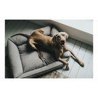 Canapé Hunter Prag Gris (90 x 70 cm)