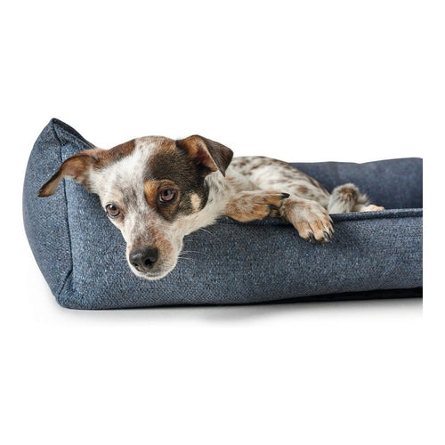 Canapé Hunter Prag Bleu pour Chien (90 x 70 cm)