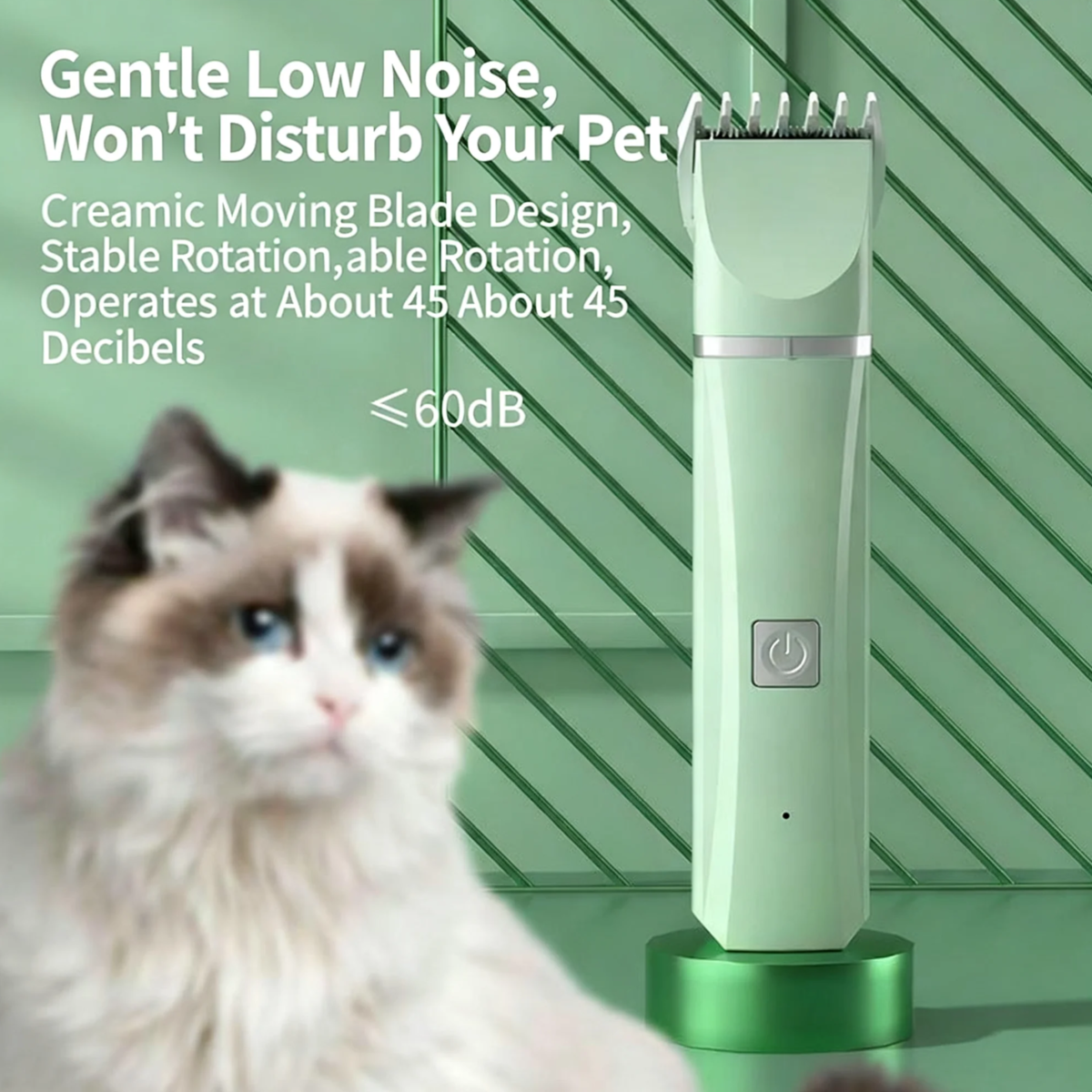 Brosses et Toilettage pour Chien