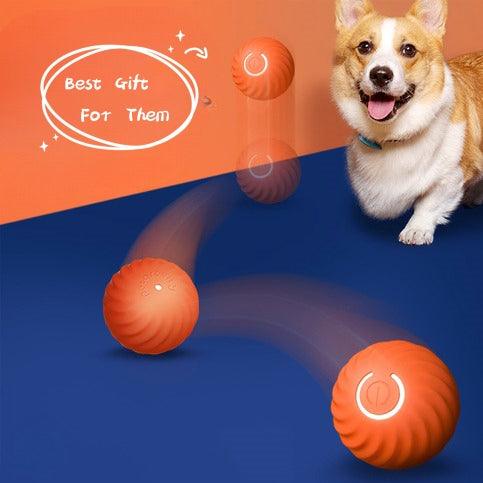 Balle Interactive Intelligente pour Chien 🎾