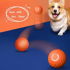 Balle Interactive Intelligente pour Chien 🎾