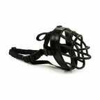 Muselère Noire pour Chien