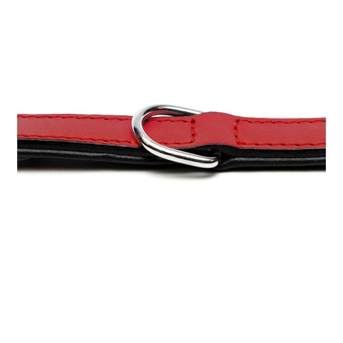 Collier Rembourré Rouge Gloria pour Chien