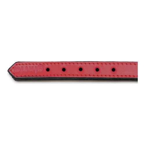 Collier Rembourré Rouge Gloria pour Chien