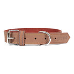 Collier Gloria Oasis Marron pour Chien
