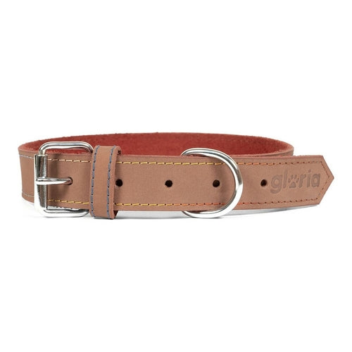 Collier Gloria Oasis Marron pour Chien