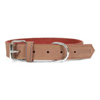 Collier Gloria Oasis Marron pour Chien