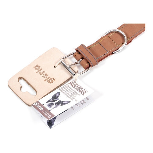 Collier Gloria Oasis Marron pour Chien