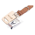 Collier Gloria Oasis Marron pour Chien