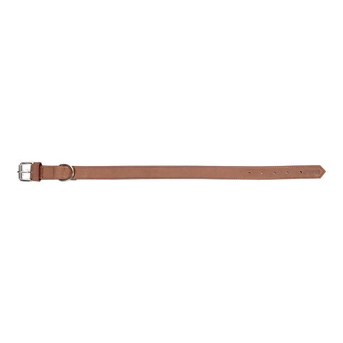 Collier Gloria Oasis Marron pour Chien