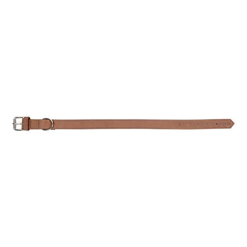 Collier Gloria Oasis Marron pour Chien