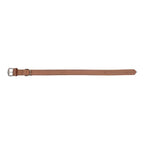 Collier Gloria Oasis Marron pour Chien