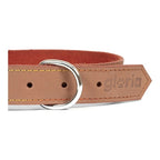 Collier Gloria Oasis Marron pour Chien