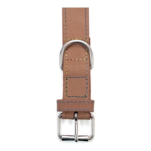 Collier Gloria Oasis Marron pour Chien