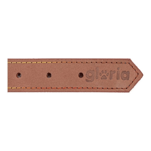 Collier Gloria Oasis Marron pour Chien