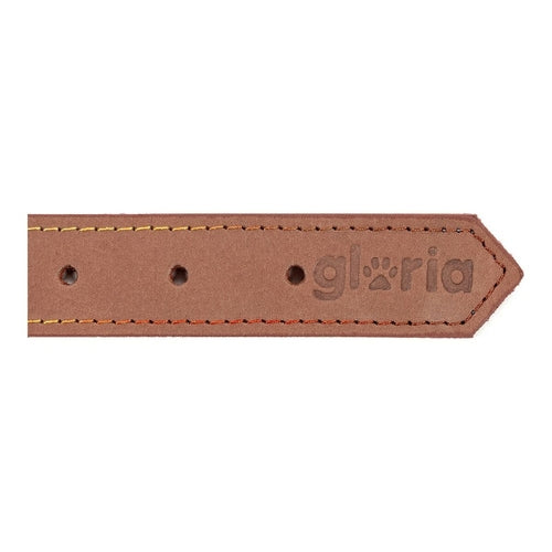 Collier Gloria Oasis Marron pour Chien