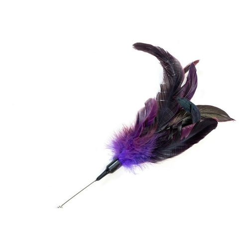 Brosse à Plumes Gloria Meissa pour Chat