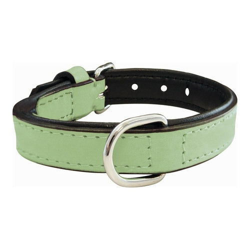 Collier Rembourré Vert Gloria pour Chien
