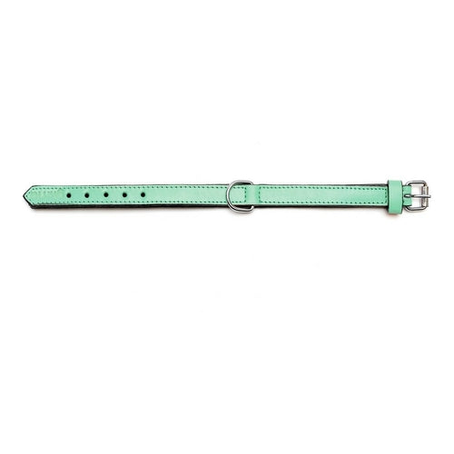 Collier Rembourré Vert Gloria pour Chien