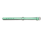 Collier Rembourré Vert Gloria pour Chien