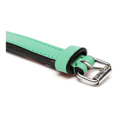 Collier Rembourré Vert Gloria pour Chien