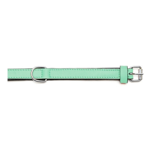 Collier Rembourré Vert Gloria pour Chien